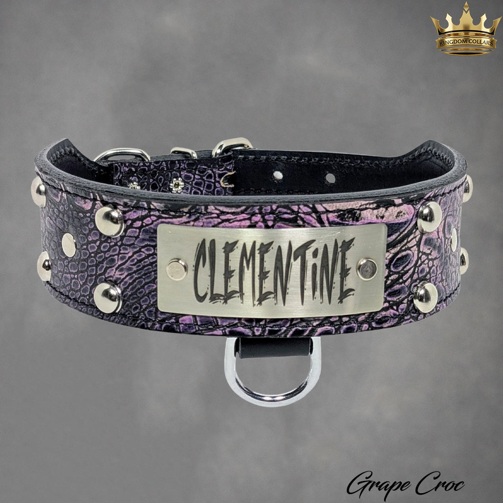 TW12 - Coleira cônica com placa de identificação de 2" com tachas