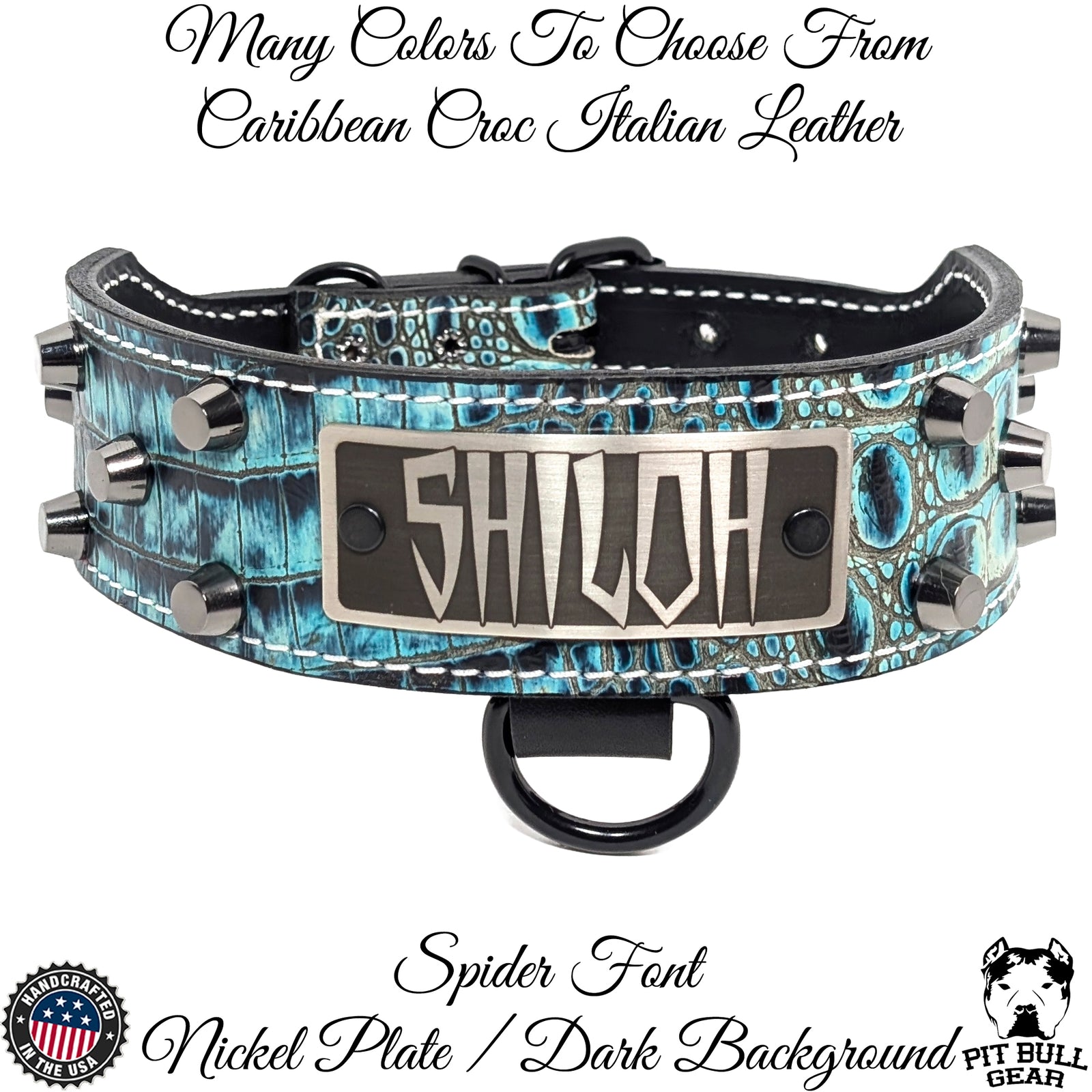 TW32 - Placa de identificación y tachuelas de cuero cónicas de 2" para collar