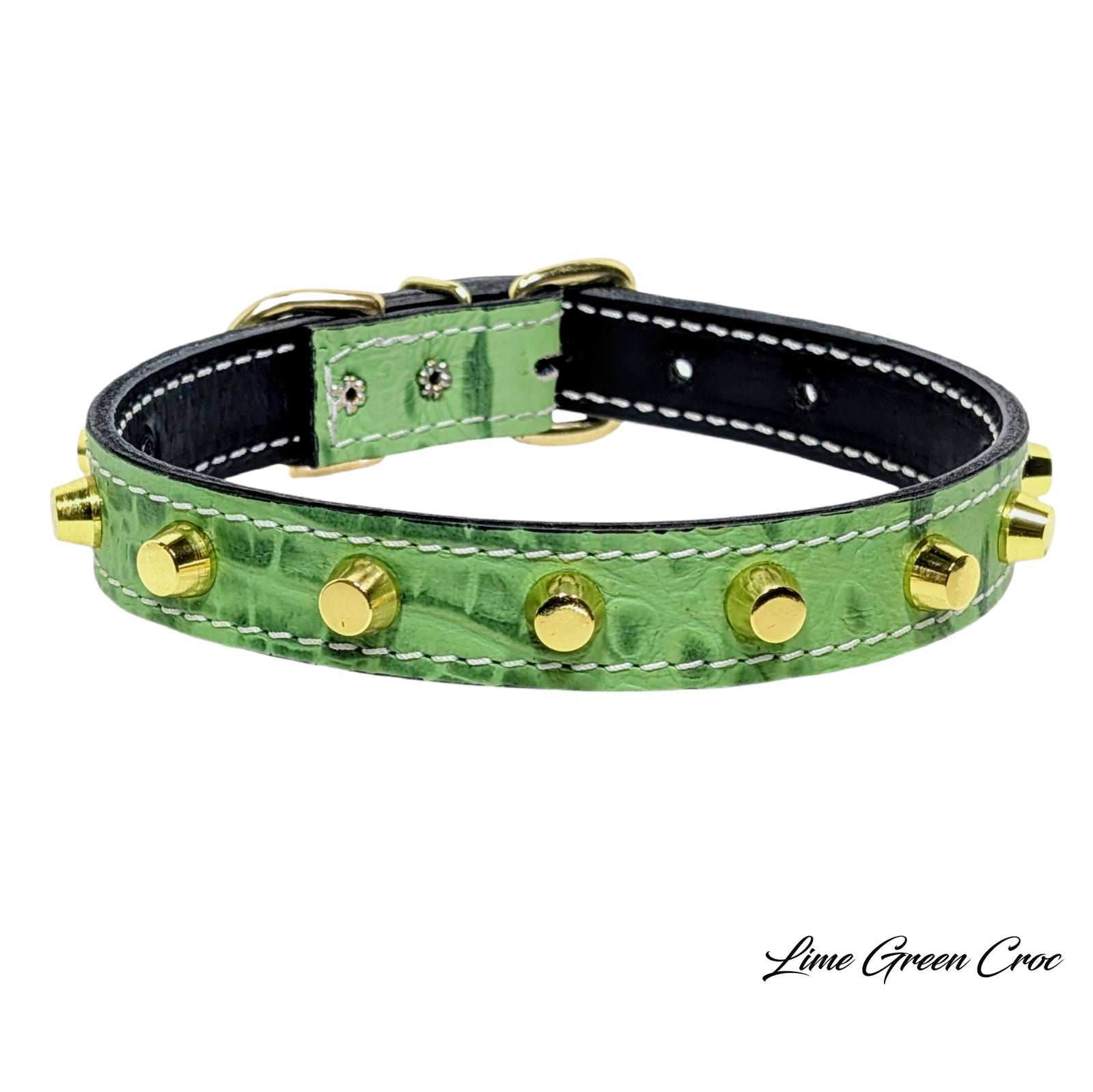 U6 - Collar de cuero con tachuelas de 1" de ancho