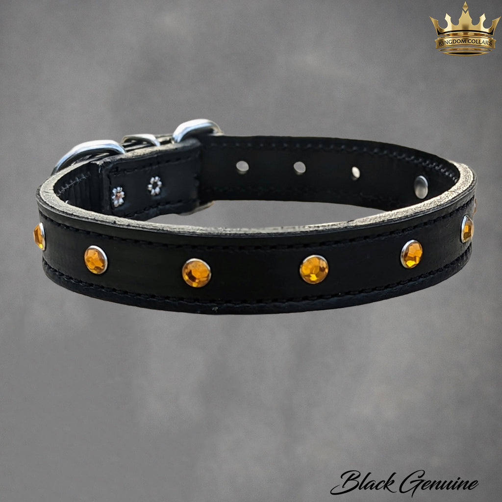 U3 - 1" Wide Leather Dog Collar with Gems