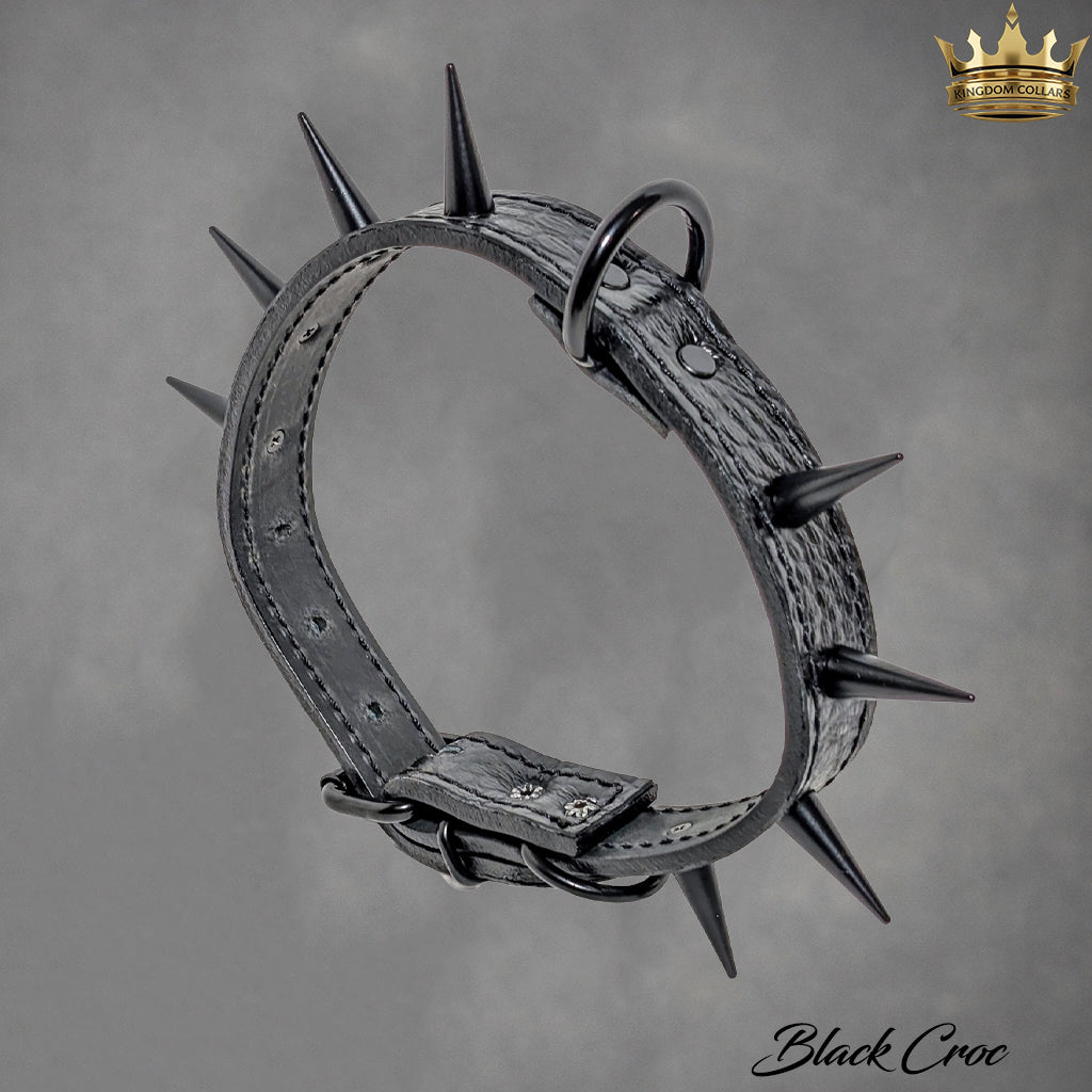U4 - 1" Wide Spiked Leather Dog Collar