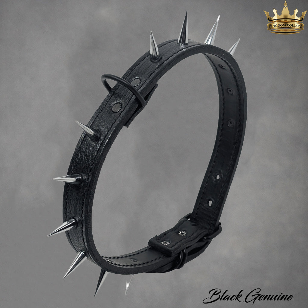 U4 - 1" Wide Spiked Leather Dog Collar
