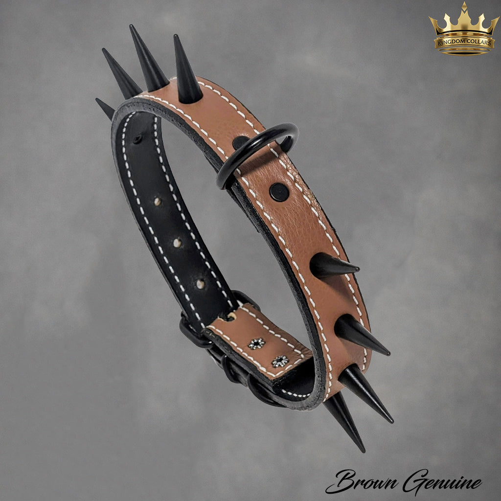 U4 - 1" Wide Spiked Leather Dog Collar