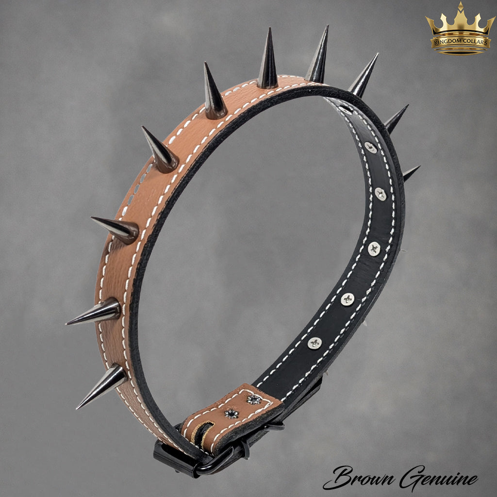 U4 - 1" Wide Spiked Leather Dog Collar