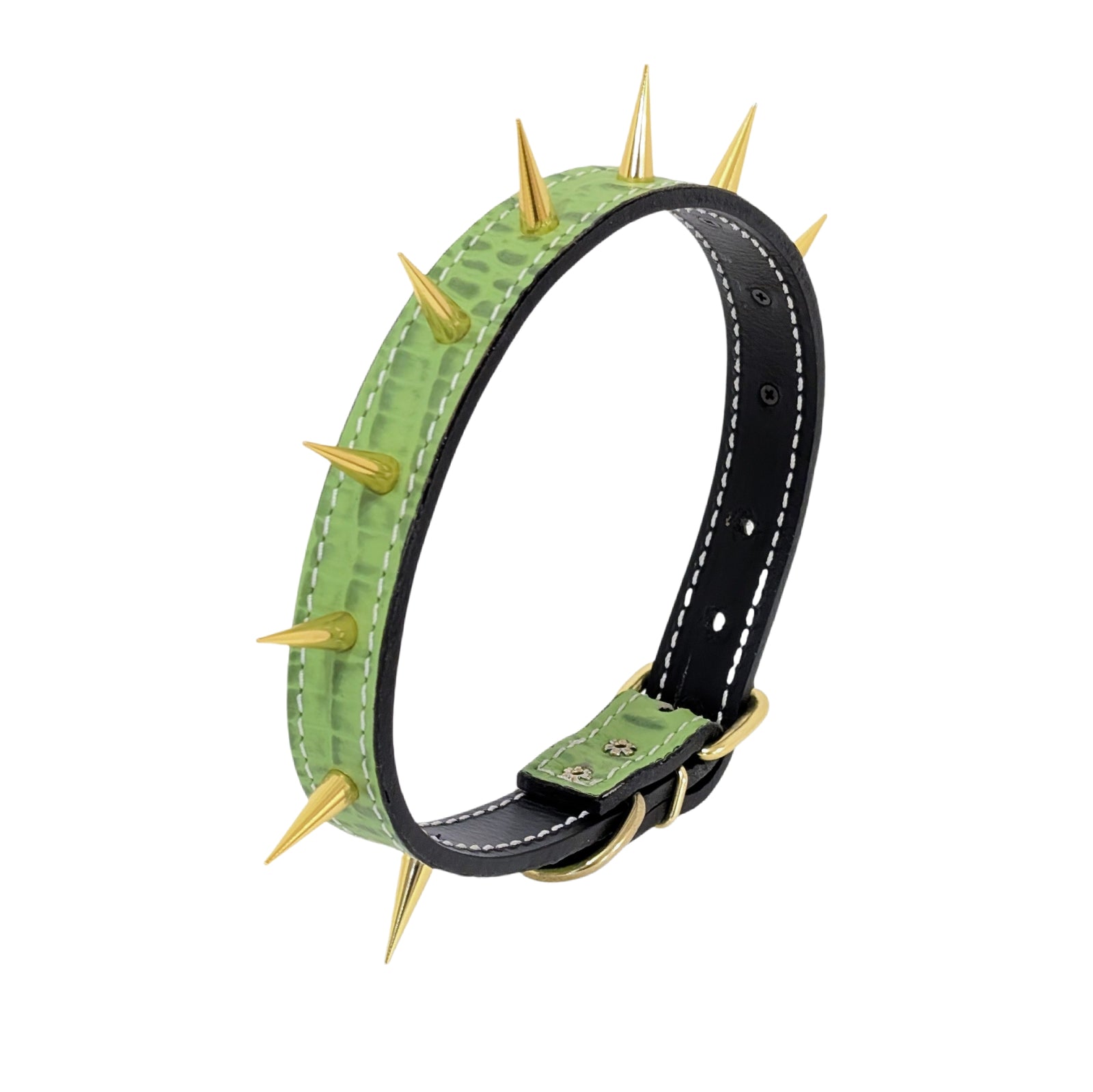 Green spiked dog collar with black leather strap on a white background