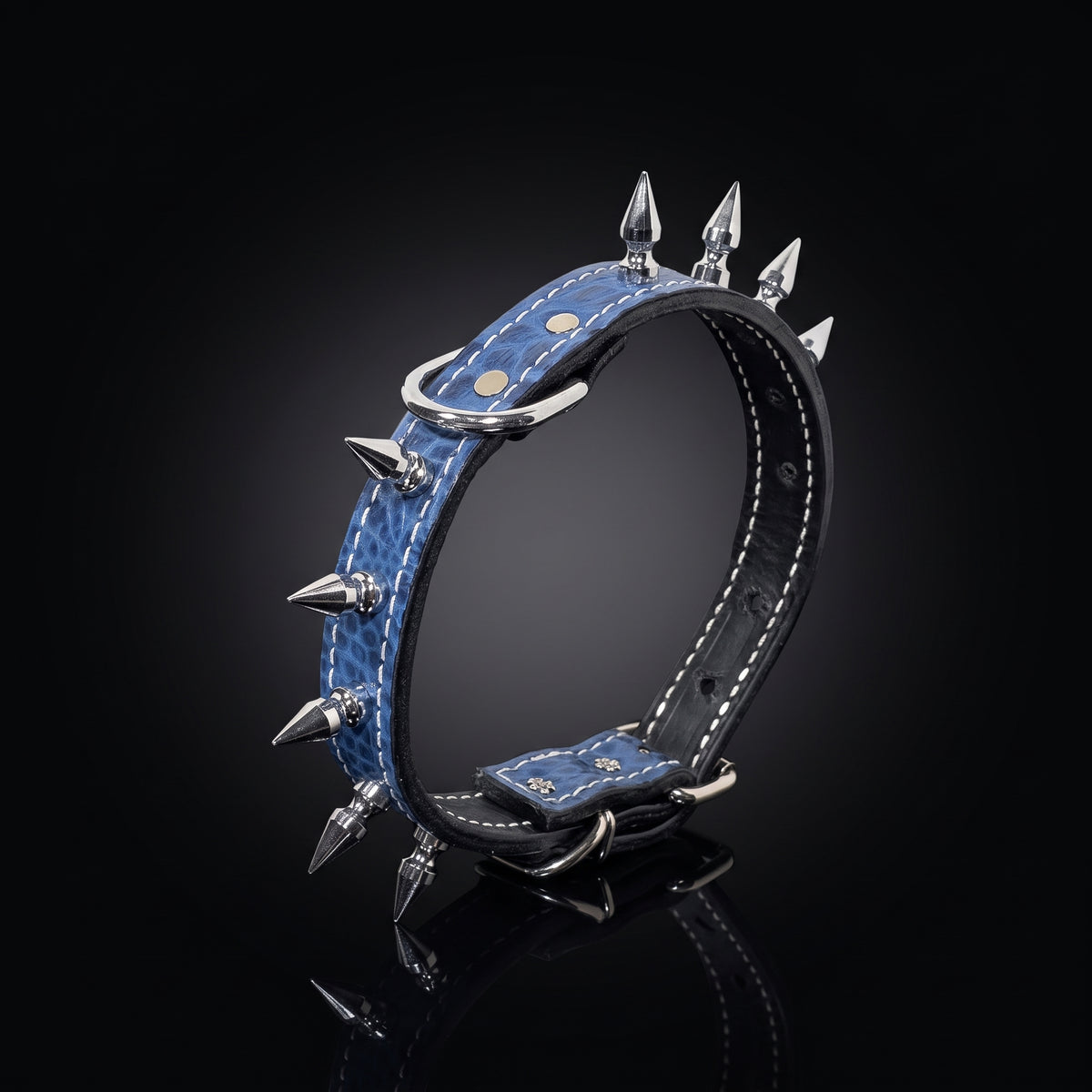 1-inch blue textured Italian leather spiked dog collar with silver 1-inch tree spikes by Kingdom Collars