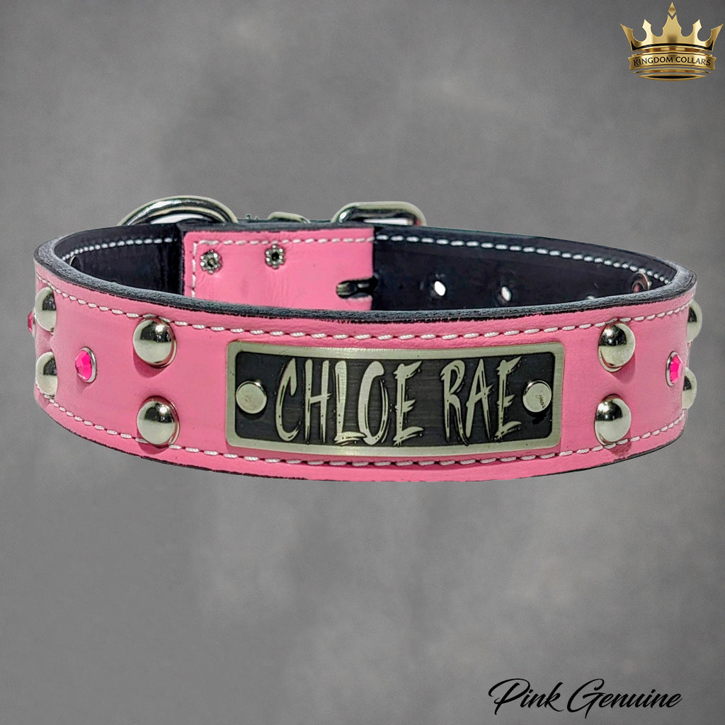 V20 - Coleira personalizada de 1 1/2" com tachas e pedras preciosas