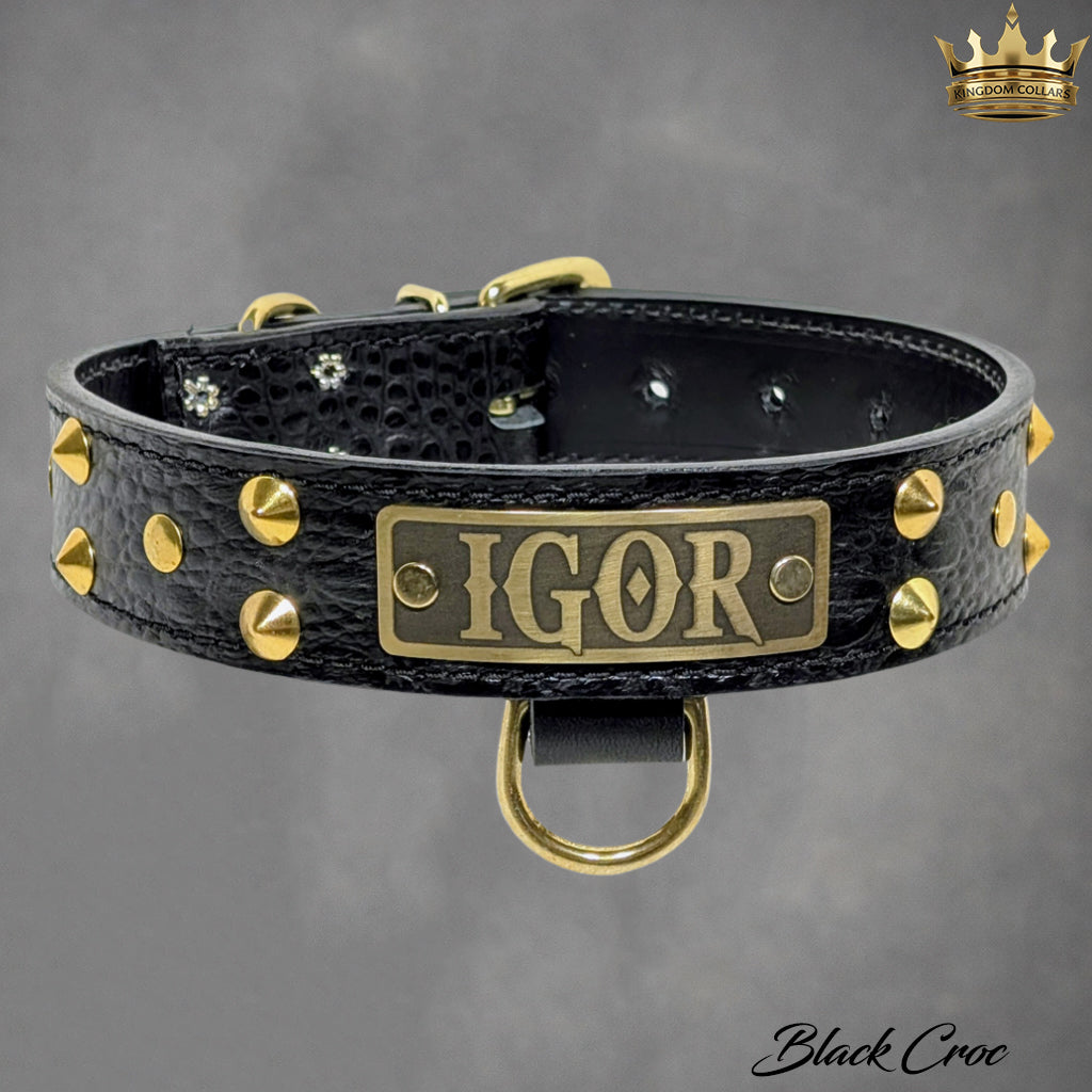 Black leather dog collar with gold studs and 'IGOR' plaque on a gray background