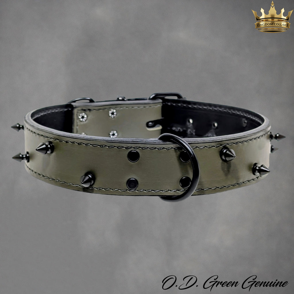 V5 - 1 1/2" coleira de couro pontiaguda