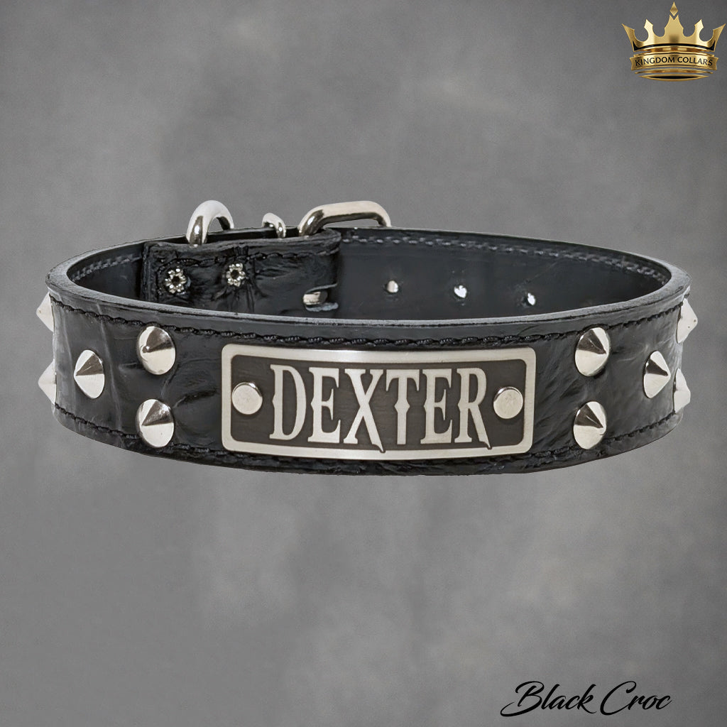 VN1 - 1 1/2" colar cravejado de cone personalizado