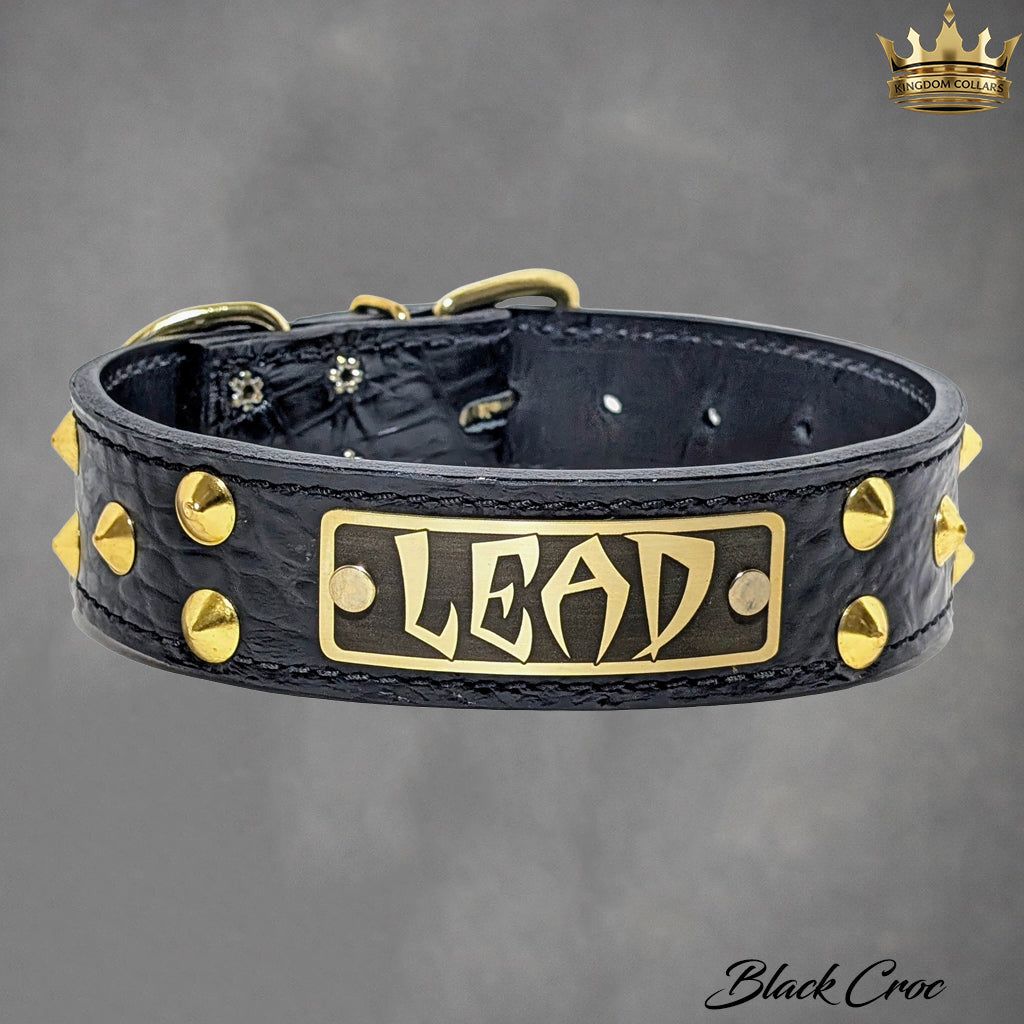 VN1 - 1 1/2" colar cravejado de cone personalizado