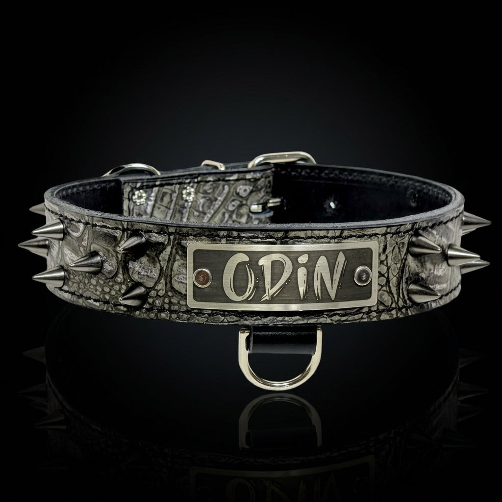 A black and silver spiked collar with a central metal plate engraved with the name 'Odin', displayed on a reflective black surface.