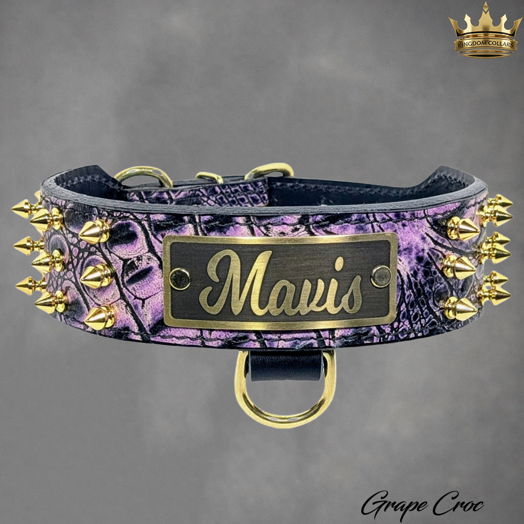W29 - 2" Tapered Leather Personalized Collar w/Spikes