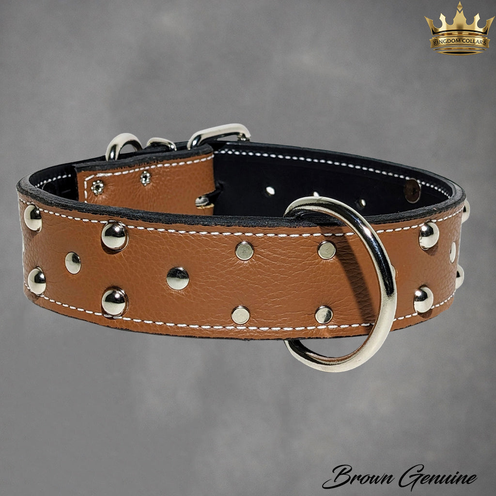 2" Wide Studded Italian Leather Dog Collar | Dome Studs & Rivets