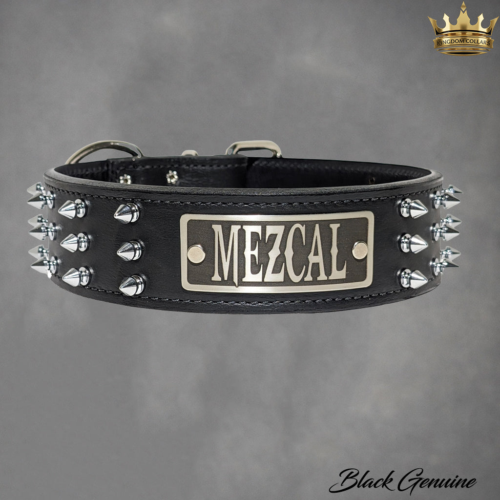 W52 - Coleira de cachorro de couro com placa de identificação personalizada de 2"