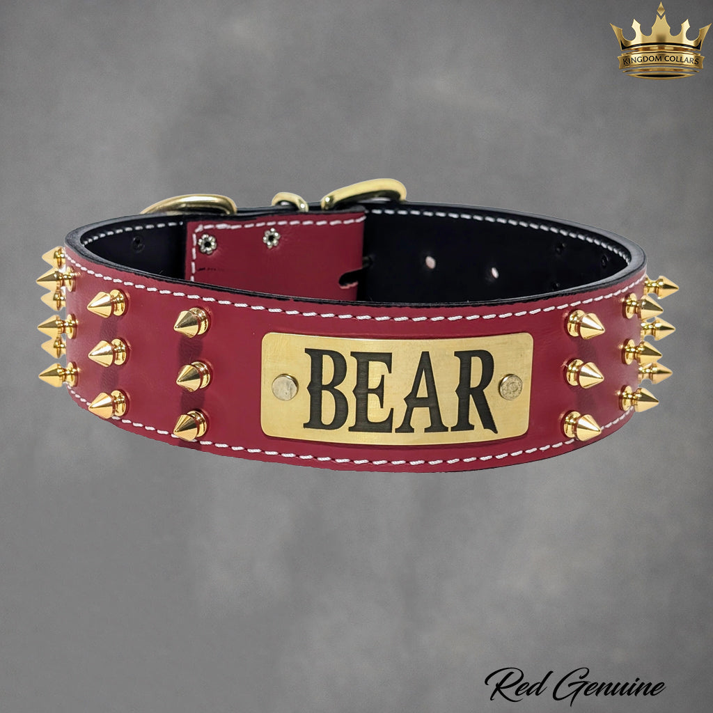 W52 - Coleira de cachorro de couro com placa de identificação personalizada de 2"