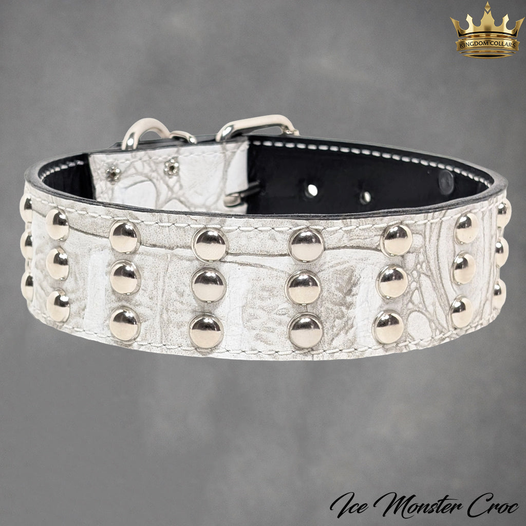 W55 - 2" Wide Studded Leather Dog Collar