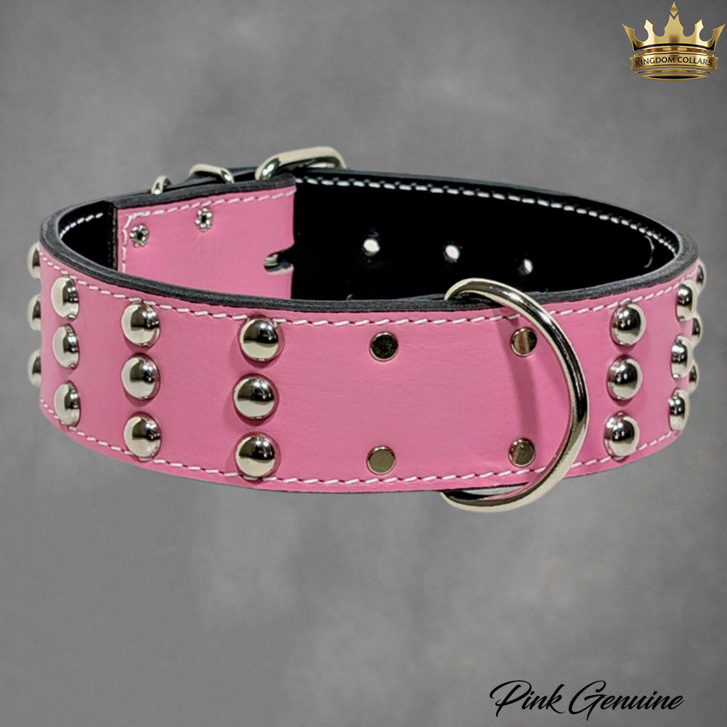 W55 - 2" Wide Studded Leather Dog Collar