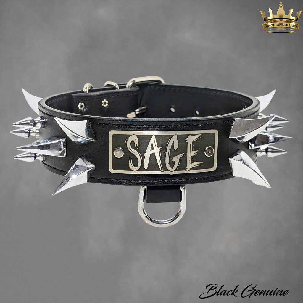 Black leather dog collar with spikes and 'SAGE' tag on a gray background