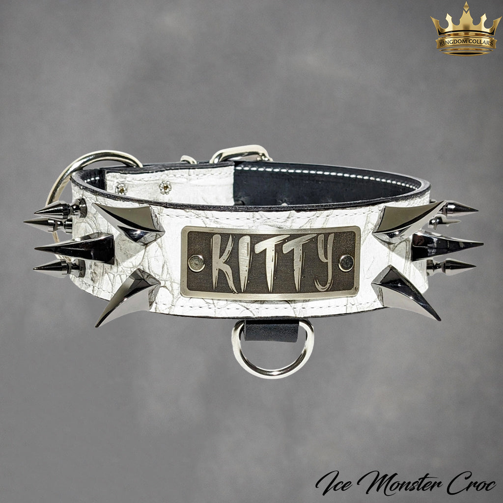 Leather dog collar with spikes and 'Kitty' tag on a gray background