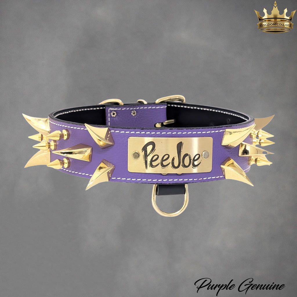 2" Wide Personalized Italian Leather Spiked Dog Collar | Dragon Claw & Tree Spikes | Engraved Name Plate
