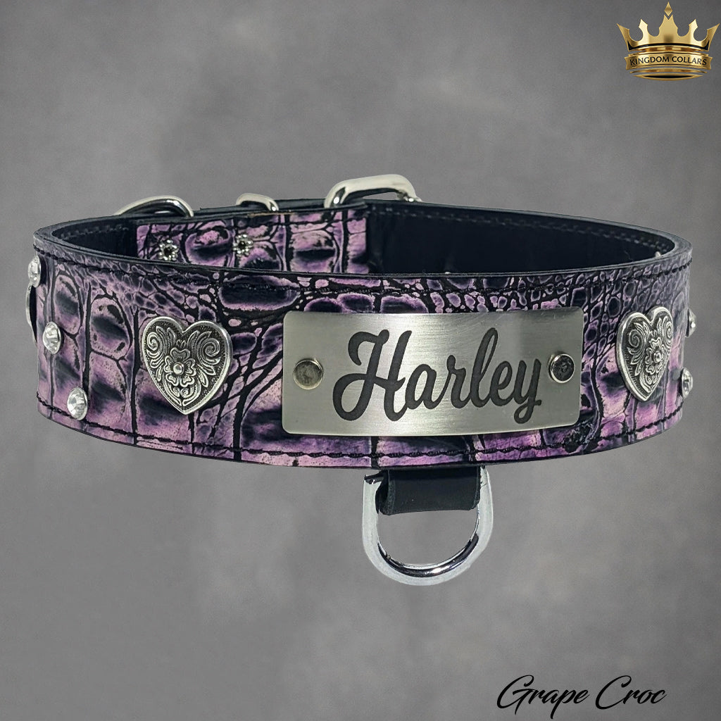 Purple textured dog collar with 'Harley' nameplate on gray background