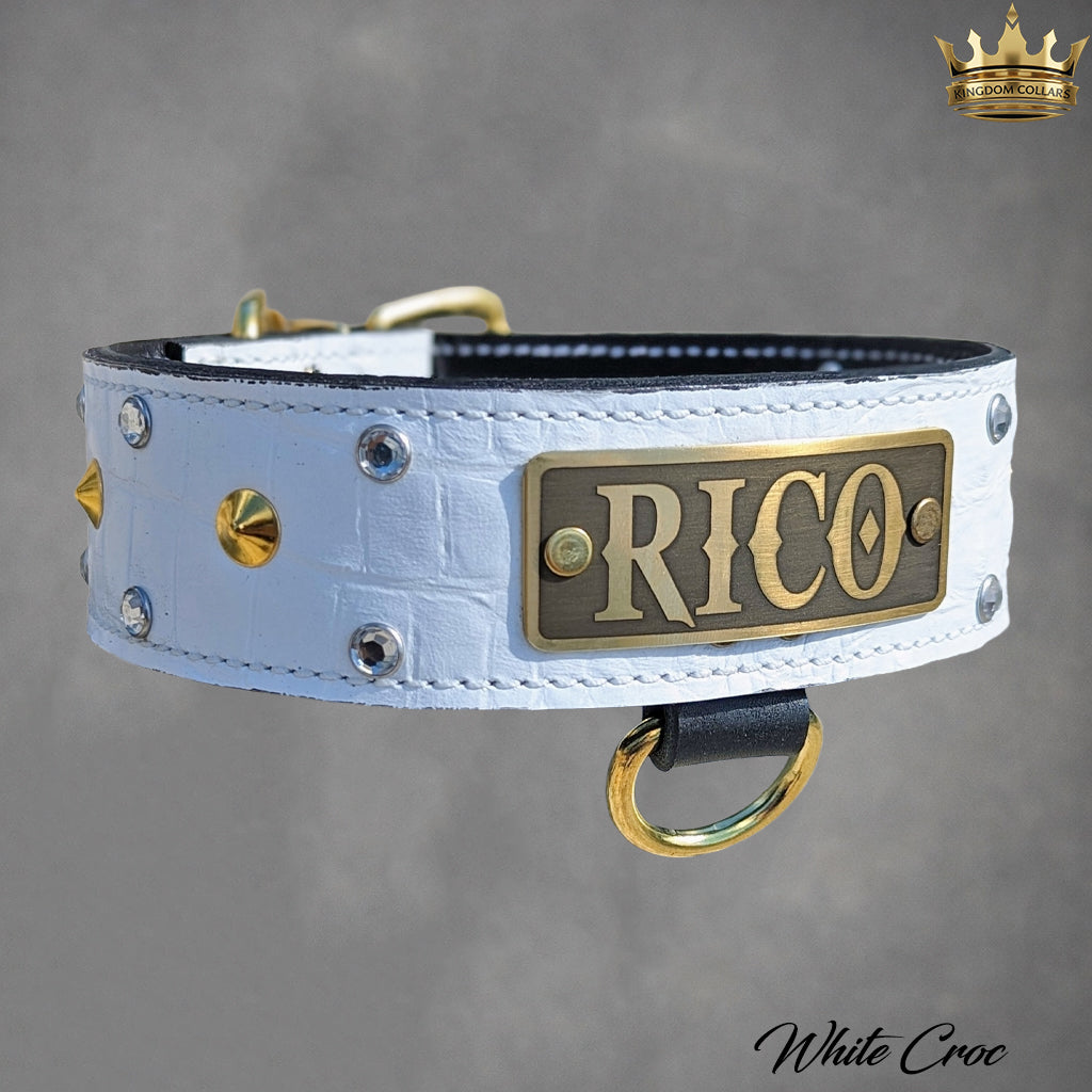 Leather dog collar with 'RICO' plaque on a gray background