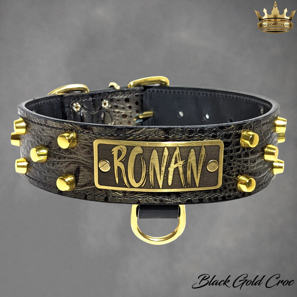 WN4 - Coleira personalizada de couro com tachinhas de 2"