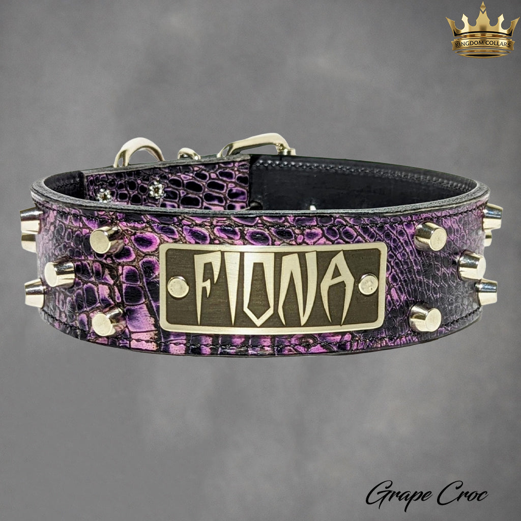 WN4 - Coleira personalizada de couro com tachinhas de 2"