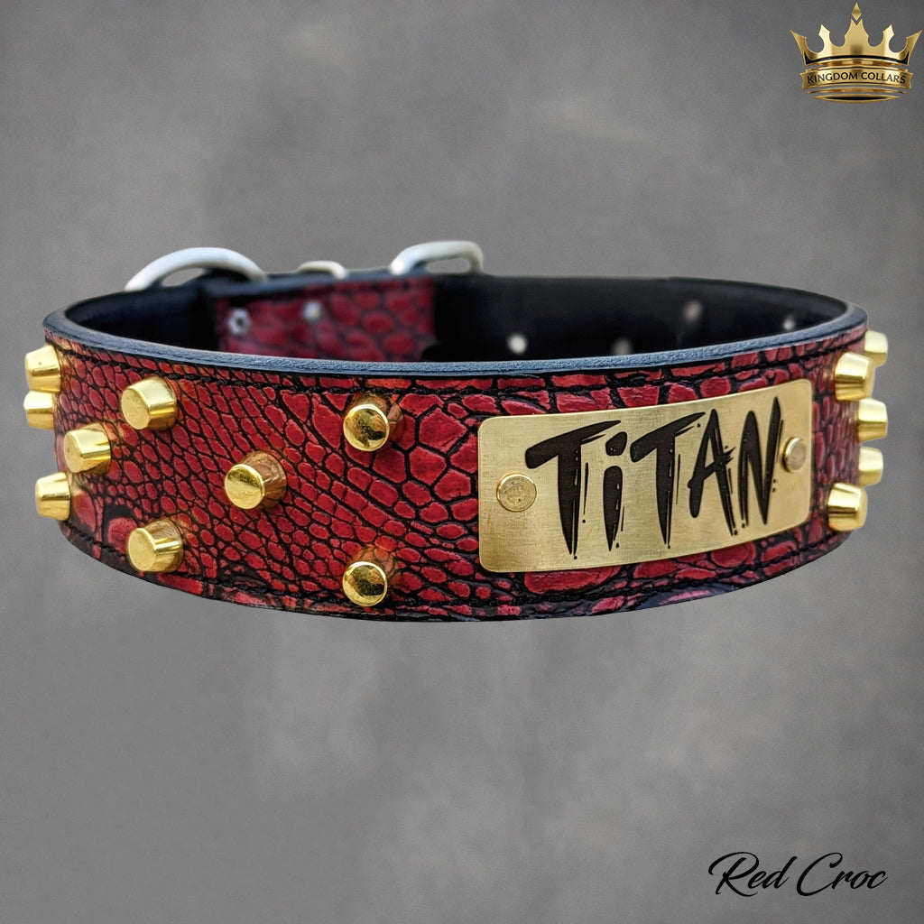 WN4 - Coleira personalizada de couro com tachinhas de 2"