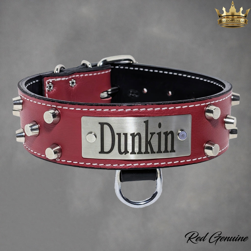 WN4 - Coleira personalizada de couro com tachinhas de 2"
