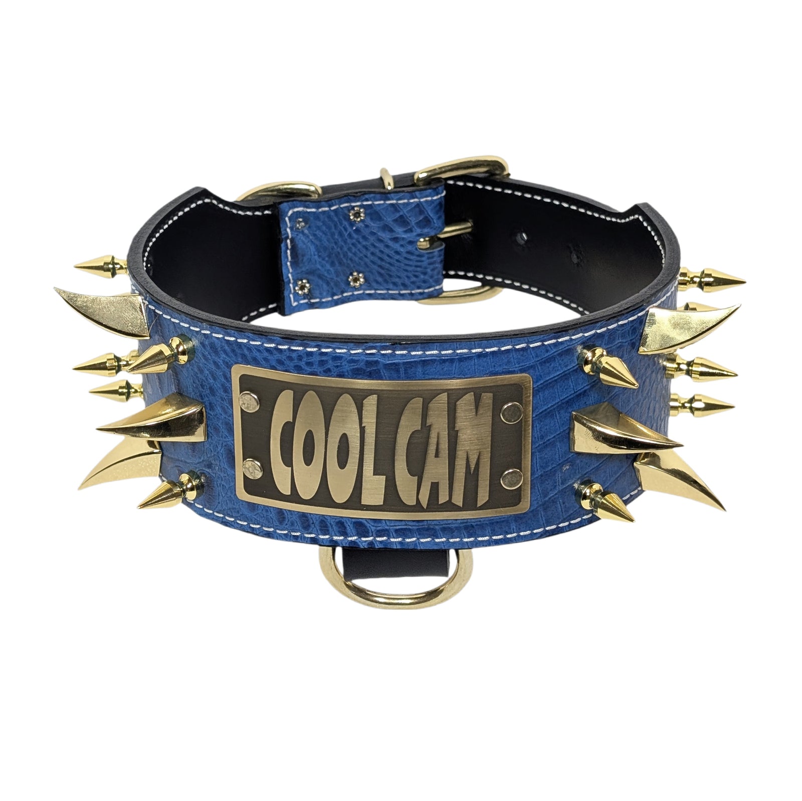 Blue leather dog collar with gold spikes and 'COOL CAM' plaque on a white background