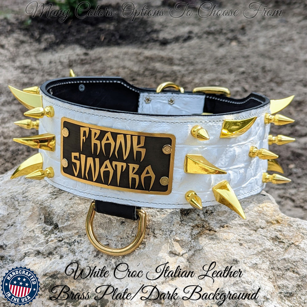 X14 - Collar de cuero con pinchos personalizado para perros de 3" de ancho