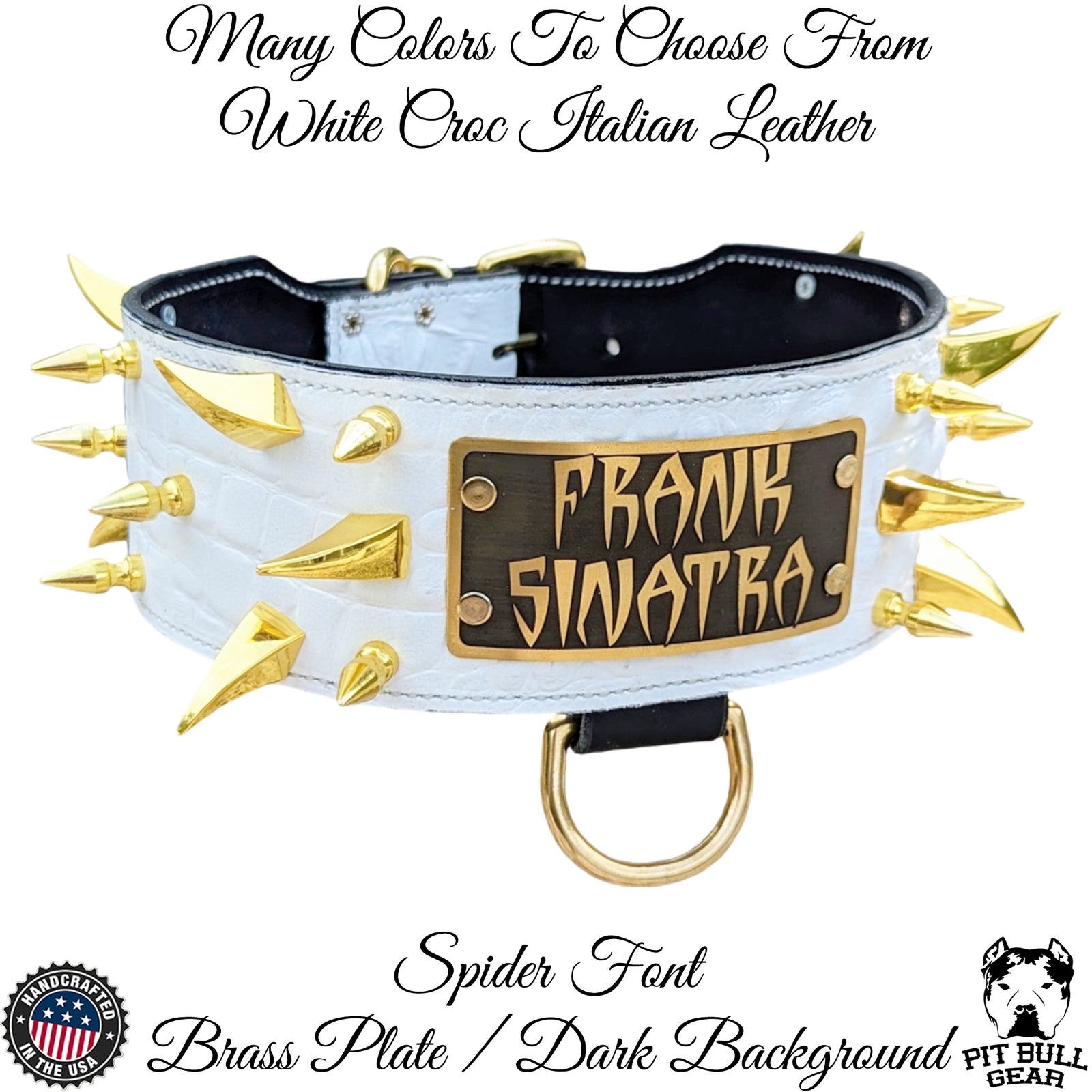 White leather dog collar with gold spikes and 'Frank Sinatra' brass plate on a white background