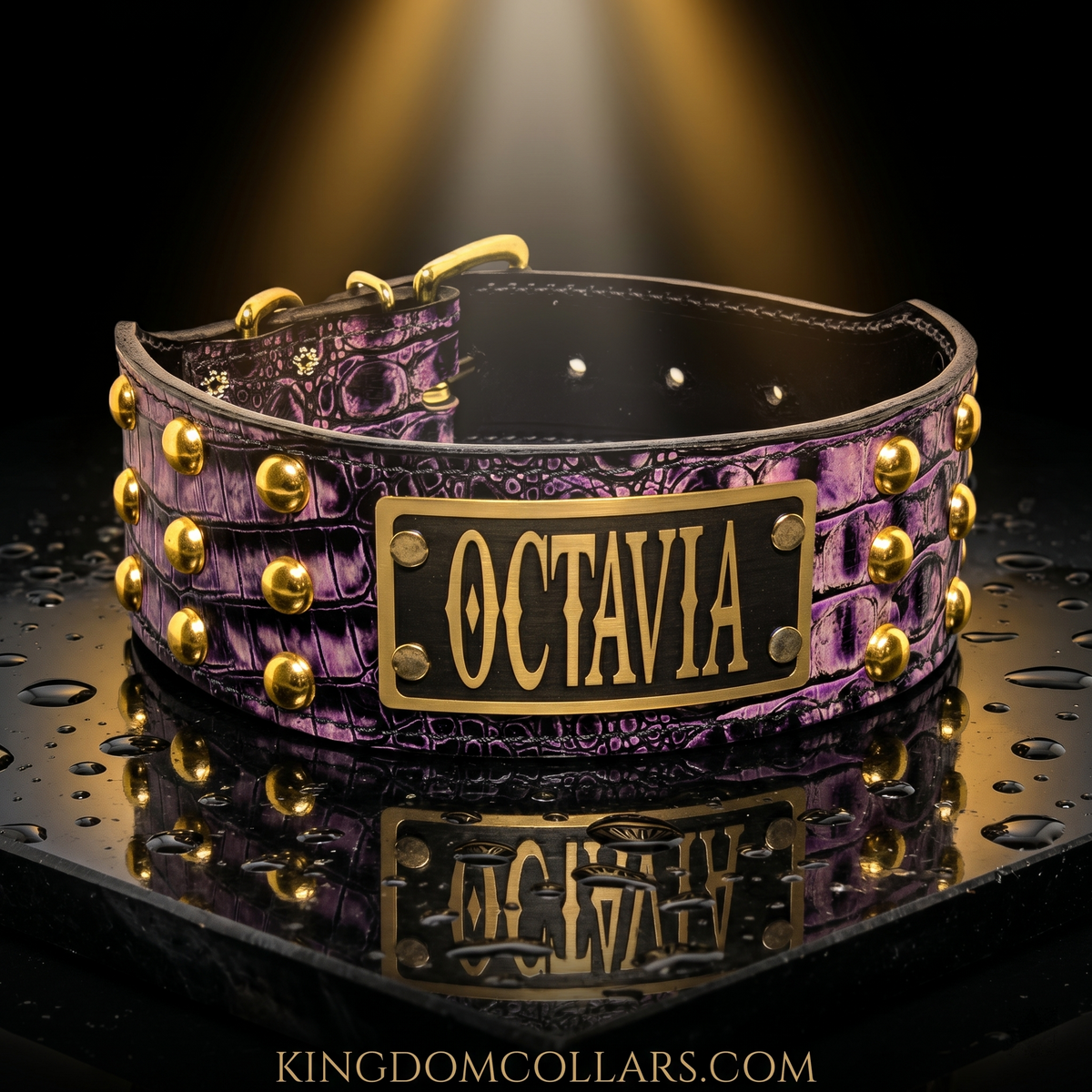 2.5"–3" Wide Italian Leather Studded Dog Collar | 3 Rows Dome Studs | Engraved Name Plate