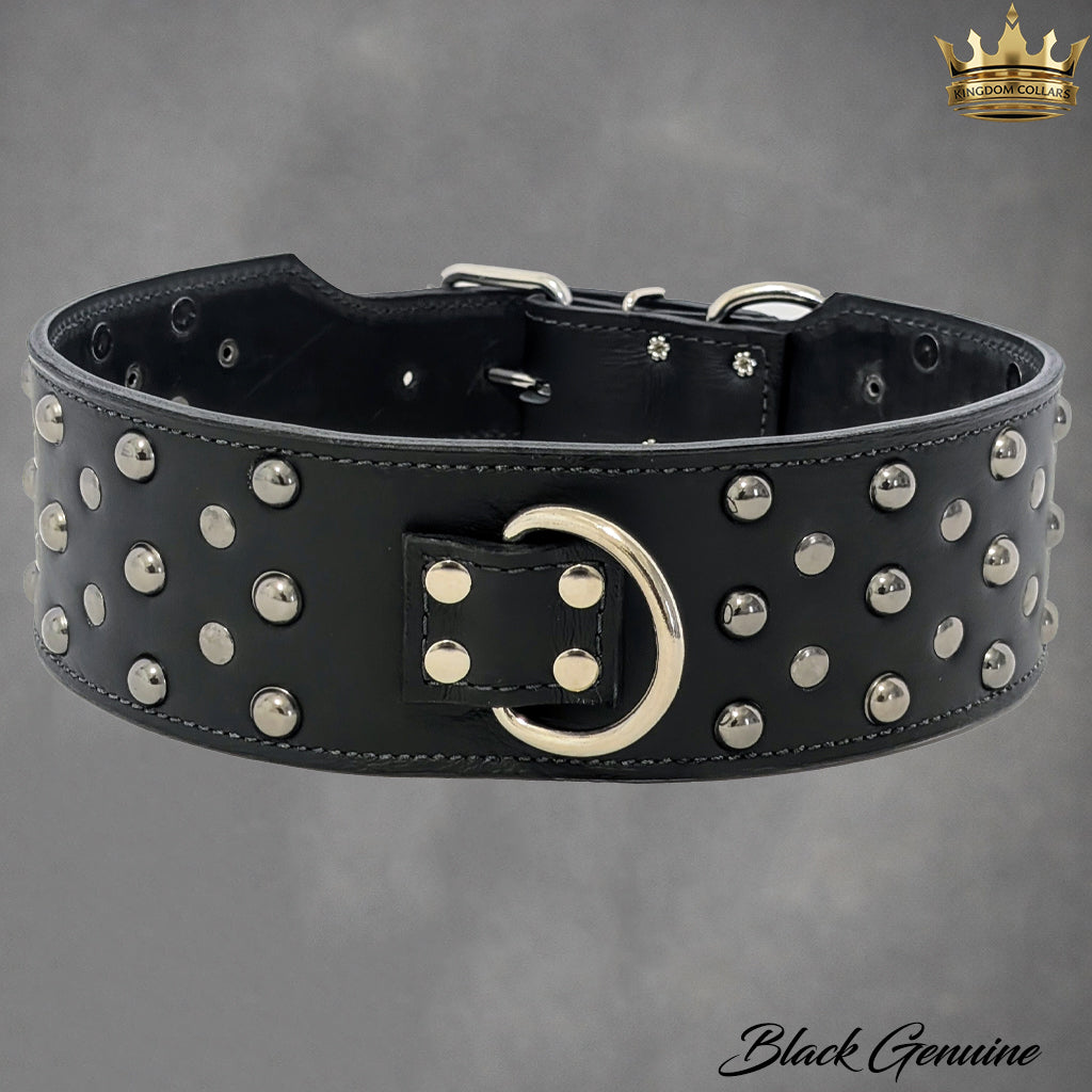 Black leather dog collar with silver studs on a gray background