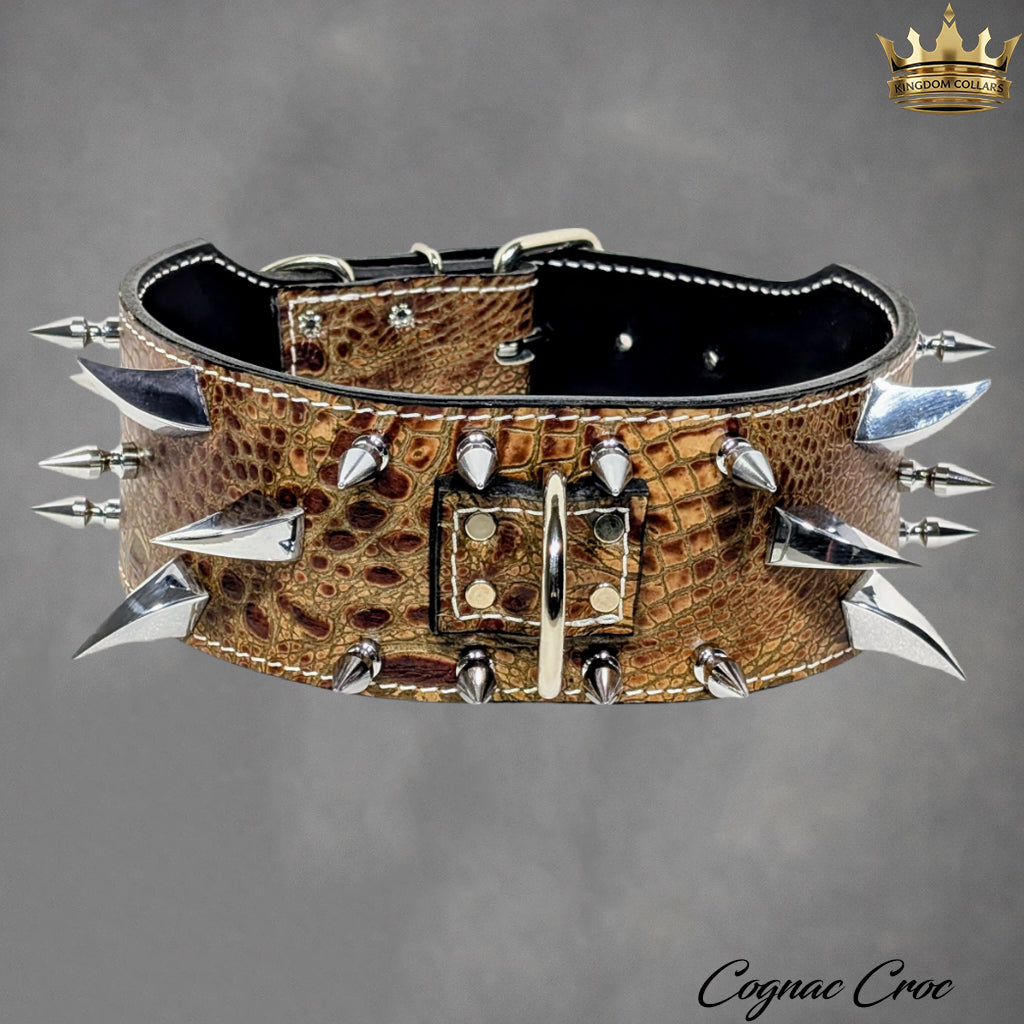 Crocodile print dog collar with spikes on a gray background