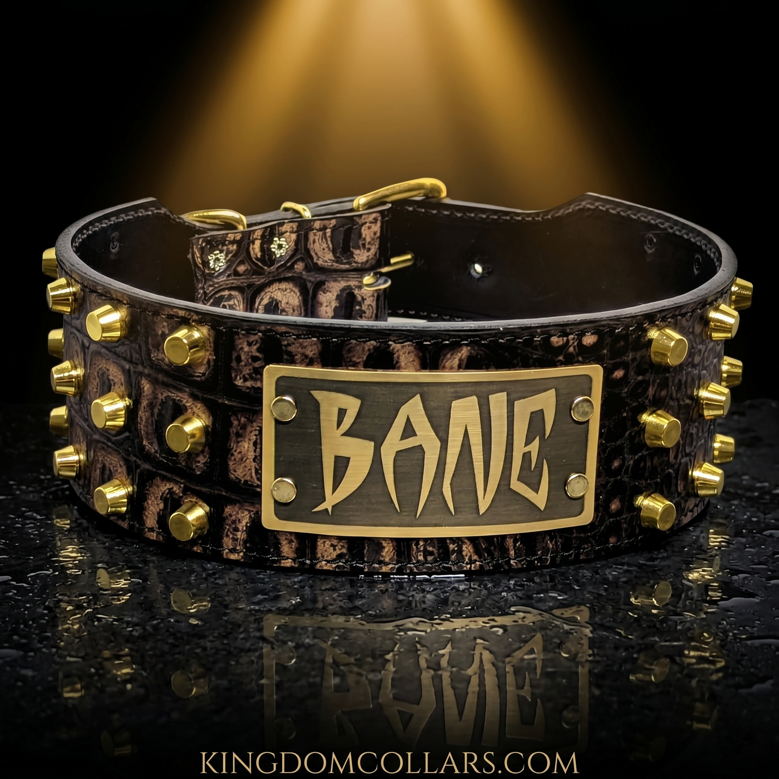 2.5"–3" Wide Italian Leather Studded Dog Collar | Bucket Studs | Engraved Name Plate