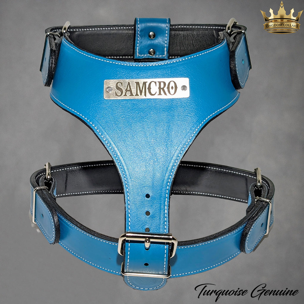 NH4 – Personalized Italian Leather Dog Harness | Custom Engraved Name Plate