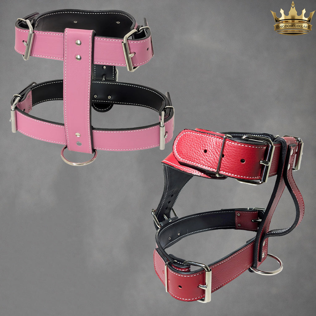NH4 – Personalized Italian Leather Dog Harness | Custom Engraved Name Plate