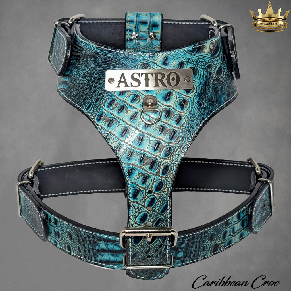 NH4 – Personalized Italian Leather Dog Harness | Custom Engraved Name Plate