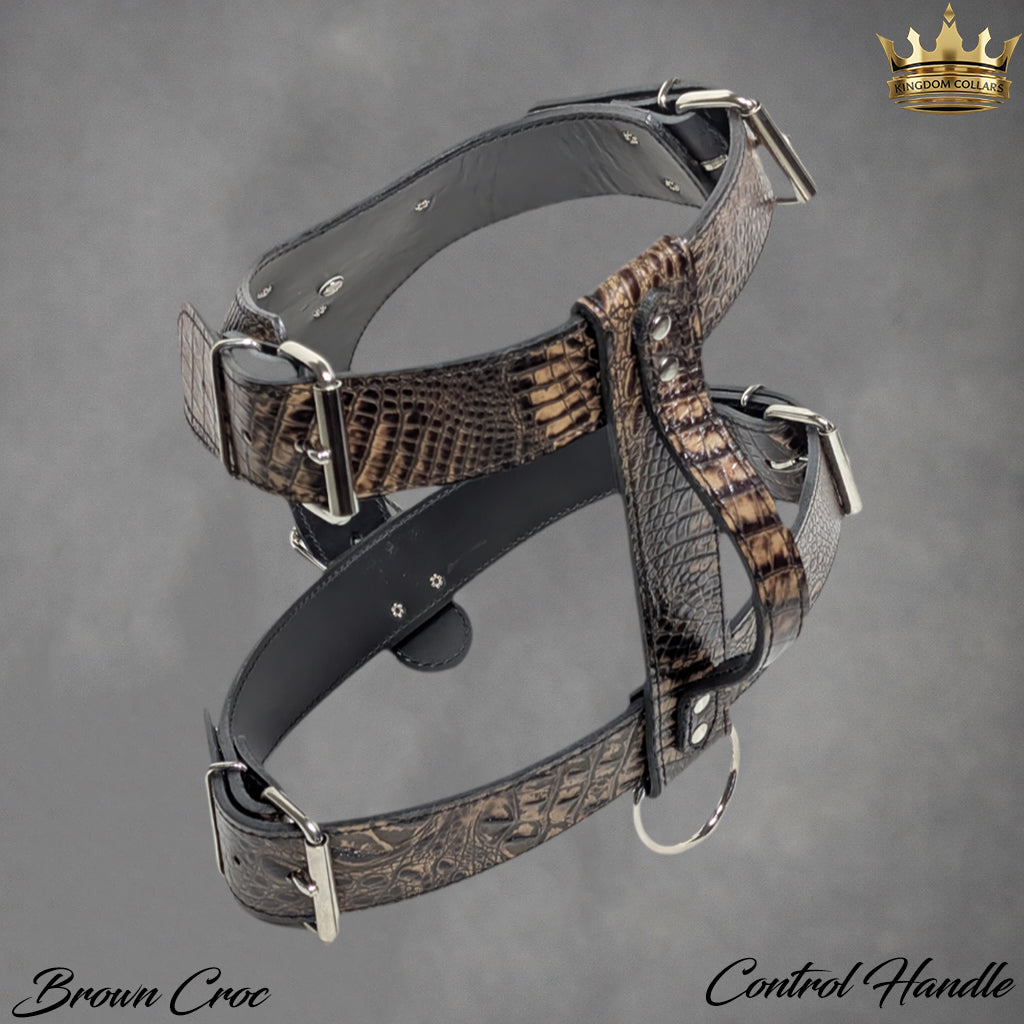 NH12 - Custom Italian Leather “Bully” Dog Harness with Engraved Name Plate