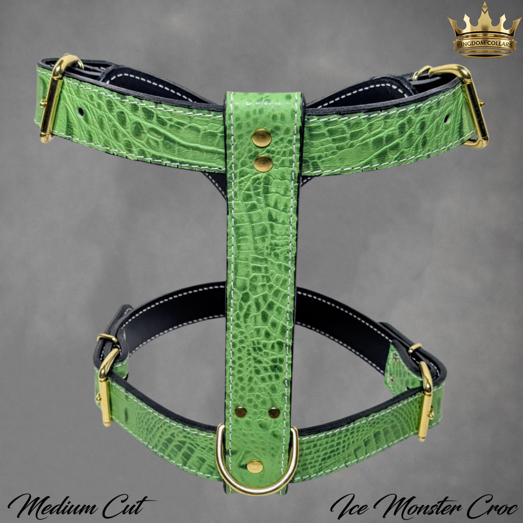 NH4 – Personalized Italian Leather Dog Harness | Custom Engraved Name Plate
