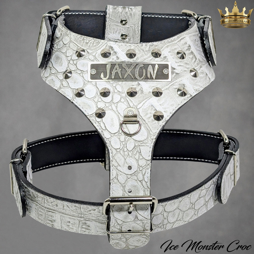 NH10 - Custom Made Italian Leather Personalized Harness with Cone Studs