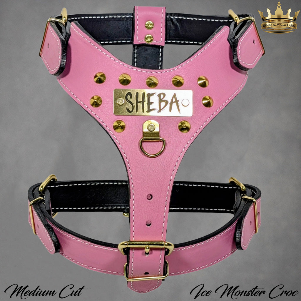 NH10 - Custom Made Italian Leather Personalized Harness with Cone Studs