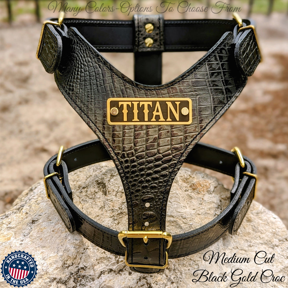 NH4 - Arnés de cuero personalizado para perros 