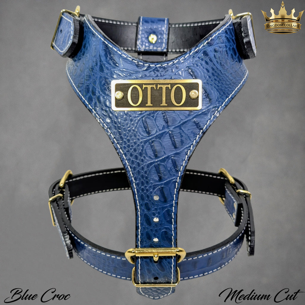 Blue crocodile-patterned dog harness with 'OTTO' branding on a gray background