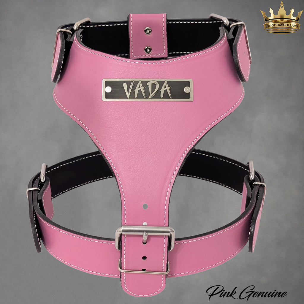 NH4 – Personalized Italian Leather Dog Harness | Custom Engraved Name Plate