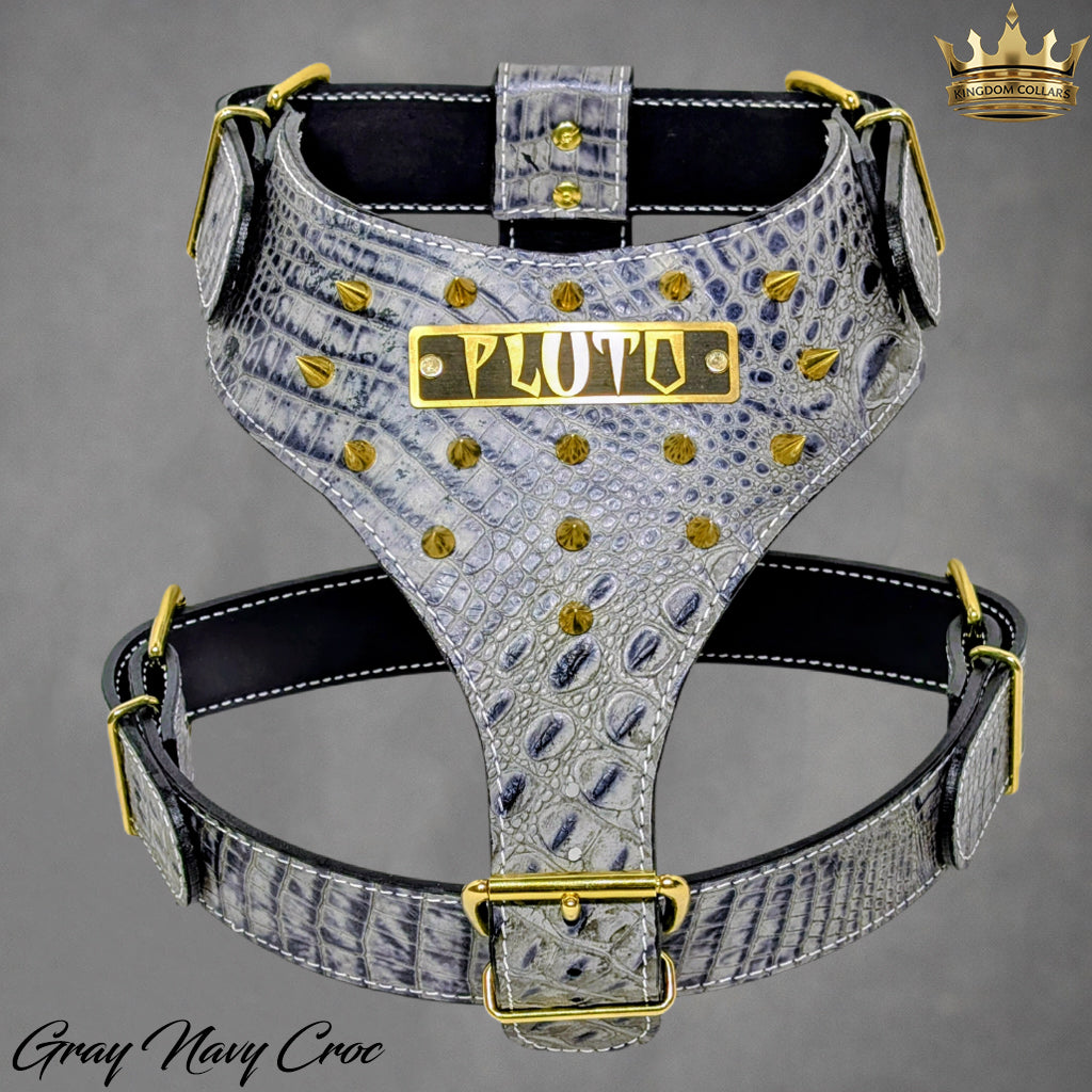 Dog harness with gold accents and 'Polo' brand name on a gray background