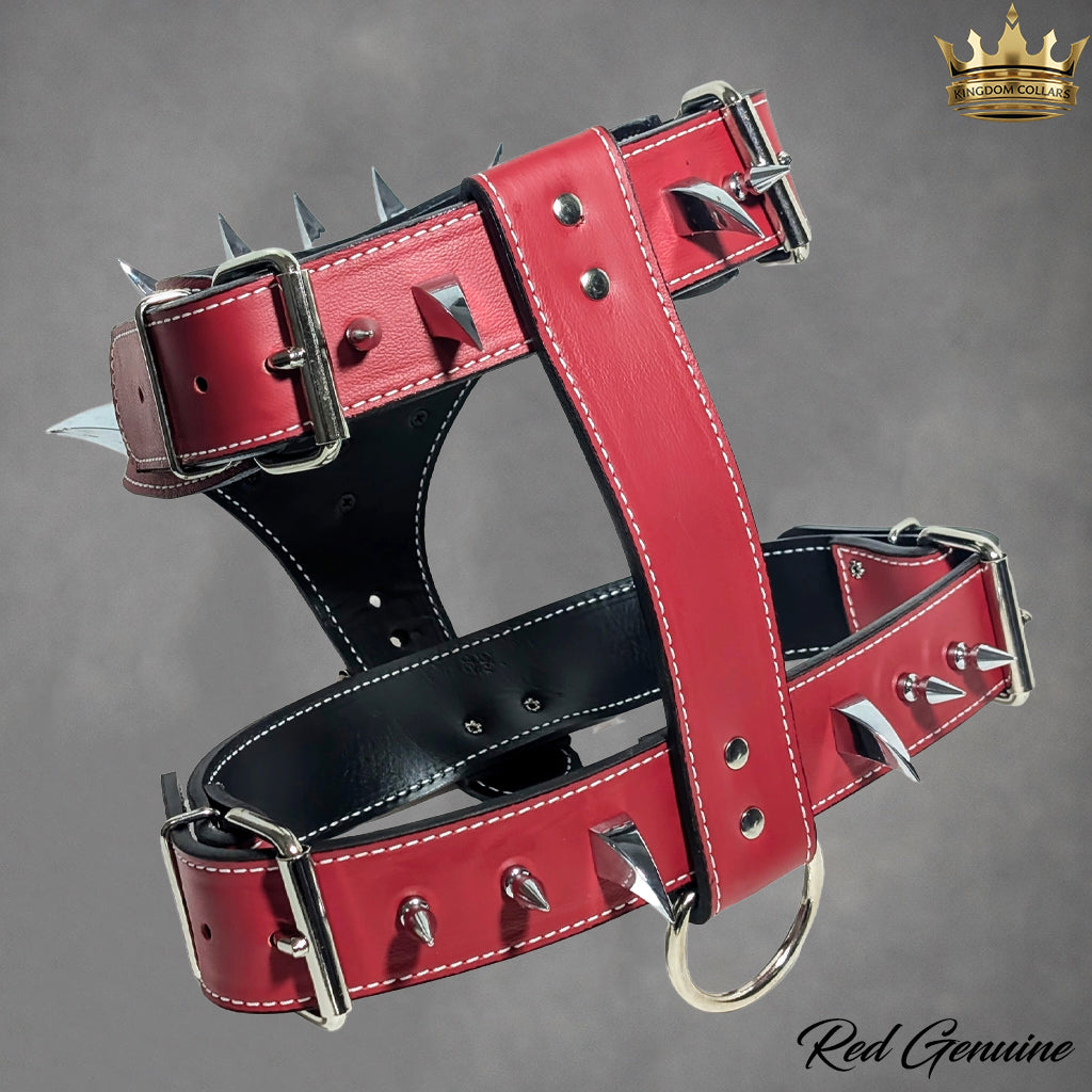 Red and black leather spiked collar with silver metal buckles and studs, displayed on a gray gradient background with a gold crown logo and 'Red Genuine' text.